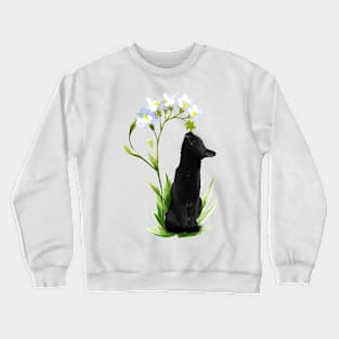 The sniffing cat Crewneck Sweatshirt